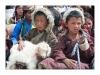 Les enfants nomades du Ladakh