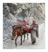 Femme nomade du Cachemire