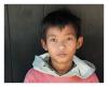 Portrait d'un jeune Birman
