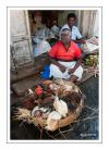 Le marchand de poulets de Pondicherry