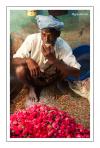 Tea break du vendeur de roses - Chennai (ex-Madras)